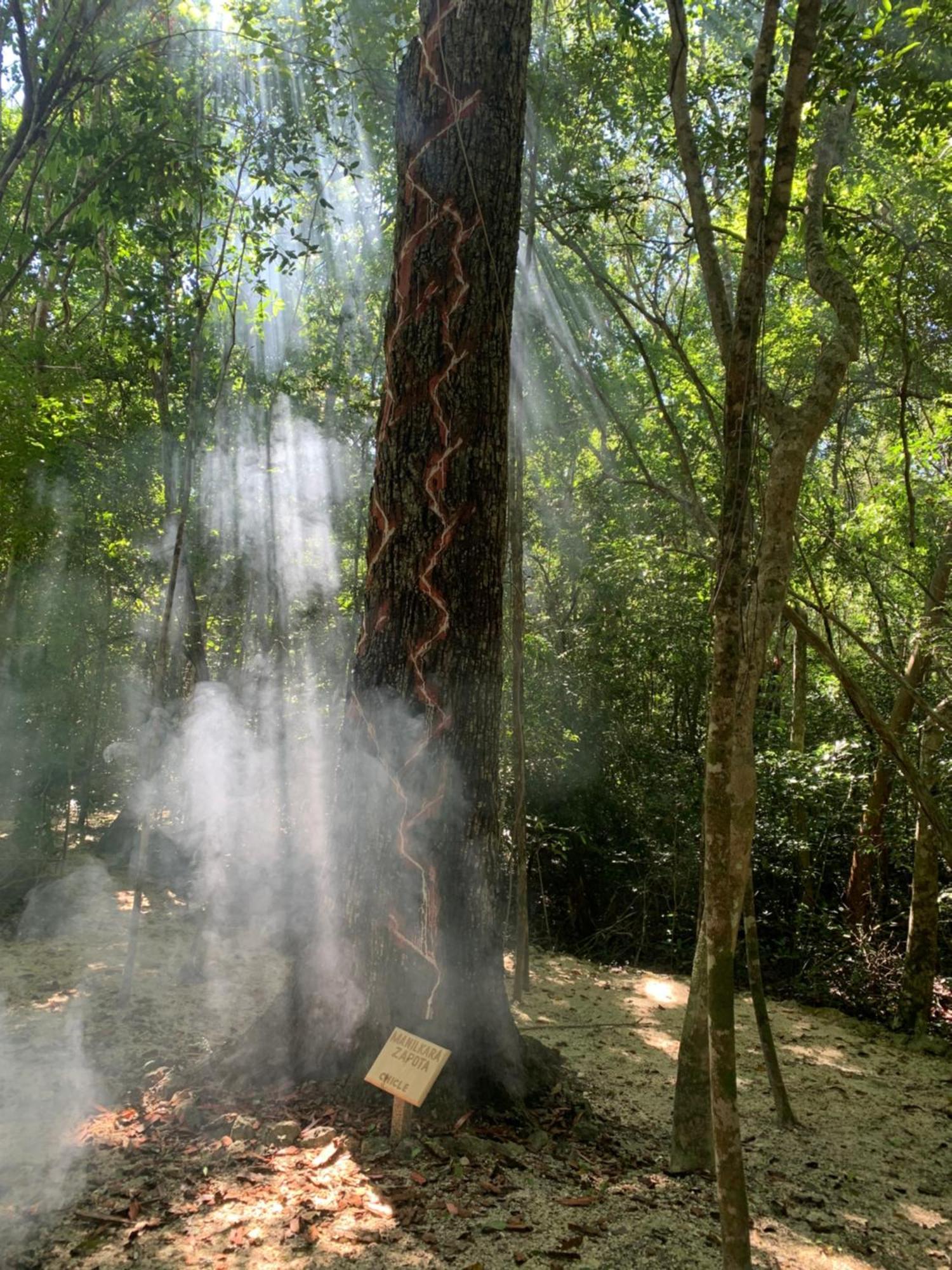 فيلا Eco Aldea Kinich Ahau إكسبوجيل المظهر الخارجي الصورة